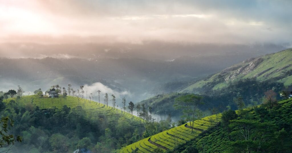Foggy Sunrise over the green mountain in kerala