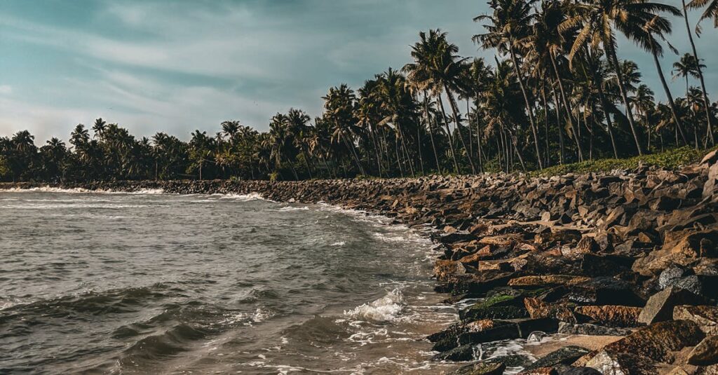Rocky Shore Near Palm Trees on a Beautiful Paradise