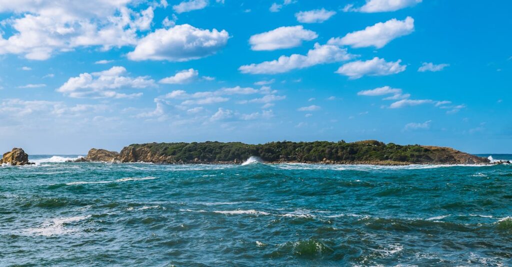 Scenic Ocean View with Island Under Blue Sky